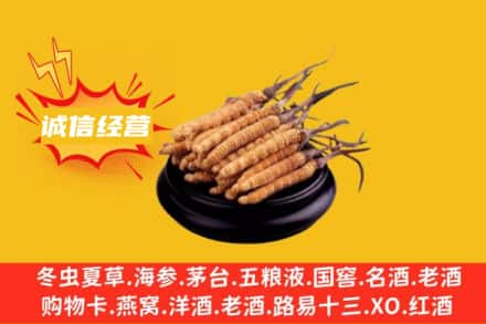 隆化县回收冬虫夏草